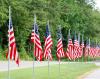 Row of American flags along the road.